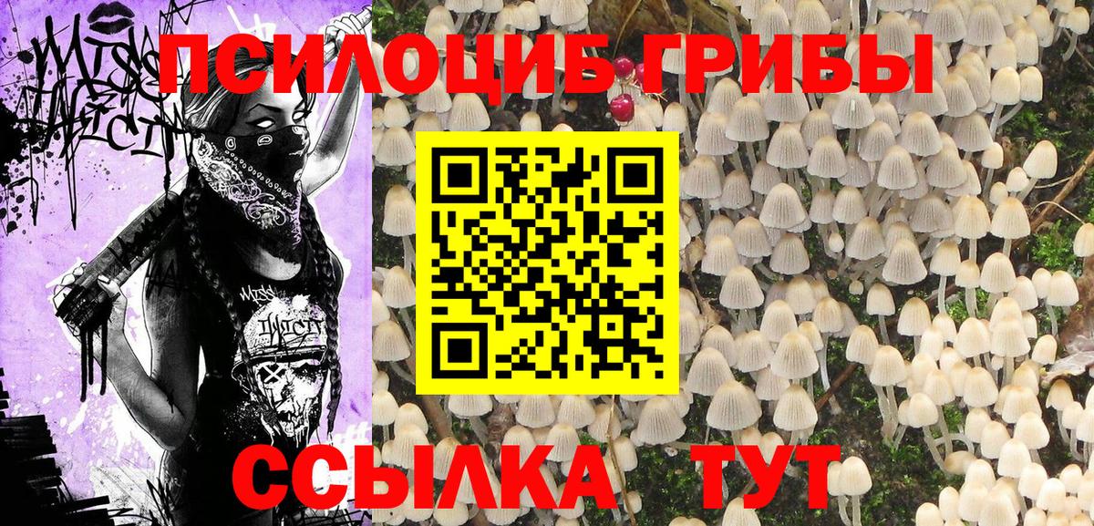 Псилоцибиновые грибы прущие грибы Новокуйбышевск
