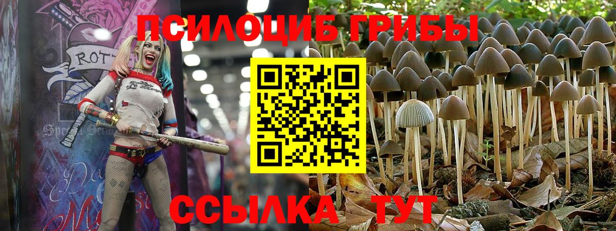 Новокуйбышевск  Псилоцибиновые грибы ЛСД  Вход с VPN 