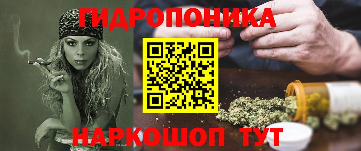 Канабис сатива Новокуйбышевск